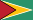 Guyanas flag