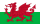 Wales' flag