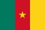 Camerouns flag