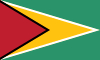 Guyanas flag