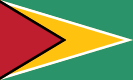 Guyanas flag