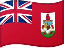 Bermudas flag