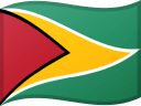 Guyanas flag