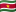 Surinams flag