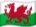 Wales' flag