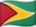 Guyanas flag