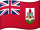 Bermudas flag