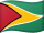 Guyanas flag