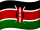 Kenyas flag