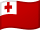 Tongas flag