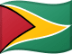 Guyanas flag