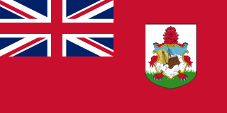 Bermudas flag