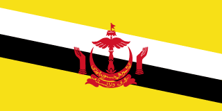 Bruneis flag