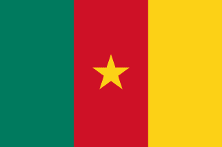 Camerouns flag