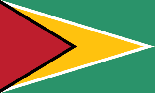 Guyanas flag