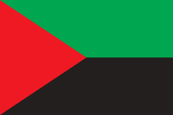 Martiniques flag