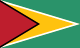 Guyanas flag