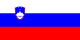 Sloveniens flag