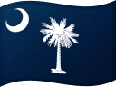 South Carolinas flag