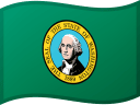 Washingtons flag