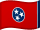 Tennessees flag