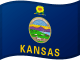 Kansas' flag