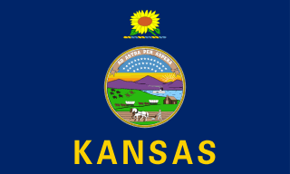 Kansas' flag