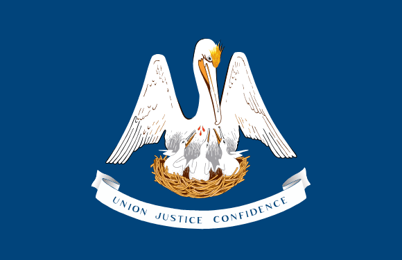 Louisianas flag